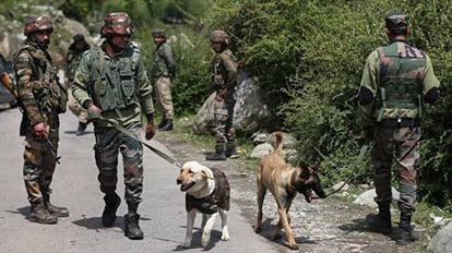 जम्मू कश्मीर: ढांगरी नरसंहार से जुड़े भाटादूड़िया में छिपे आतंकियों के तार, एक ही दल के शामिल होने का शक Jammu Kashmir: Terrorists involved in poonch Bhatadudiya attacked could link with Dhangri attack