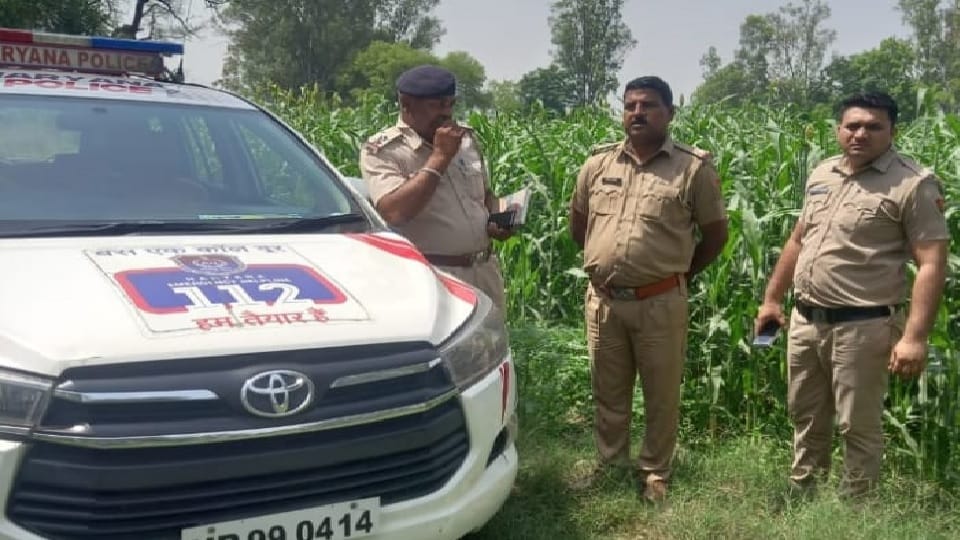 Dead body of youth found in NDRI fields in Karnal