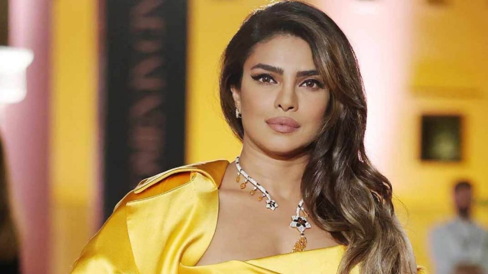 Priyanka Chopra Film Love Again Rejected By Audience After Web Series Citadel