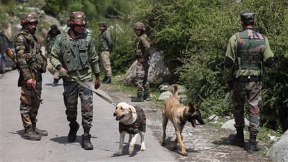 जम्मू कश्मीर: पुंछ के शाहपुर में सर्च ऑपरेशन, लोहरन के जंगलों में आग, खेत भी आए चपेट में Jammu Kashmir: Search operation in Shahpur of Poonch fire in the forests of Loharan