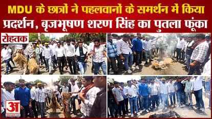 MDU students Protest In Support Of Wrestlers In Rohtak, Burn Effigy Of Brij Bhushan Sharan Singh