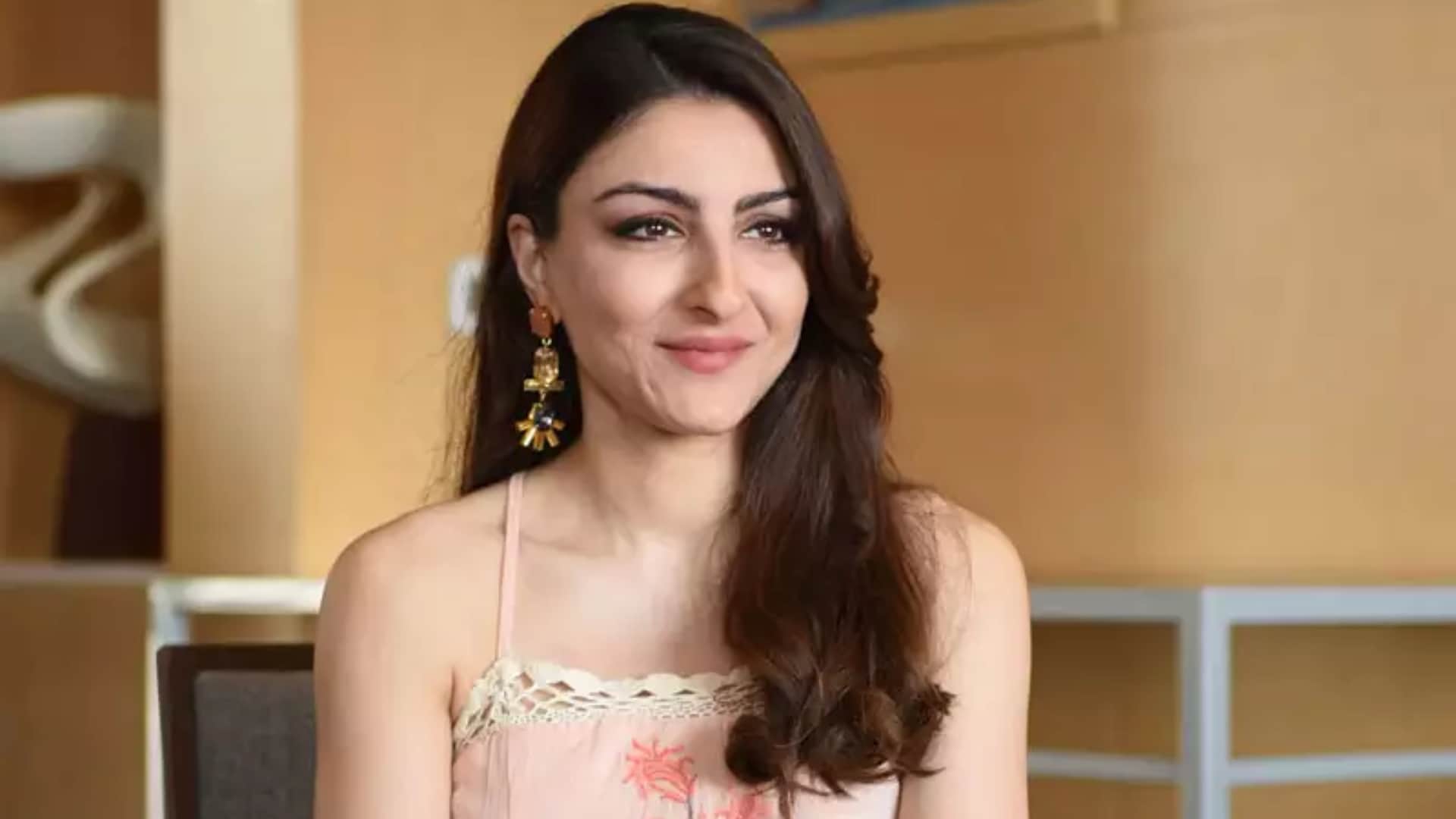 These Stars Are Highly Education in Industry Amitabh Bachchan Shahrukh Khan Parineeti Preity R Madhavan