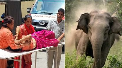 Kotdwar News Elephant Attack on Women in Lansdowne Range admitted in Hospital