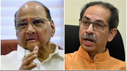 'अपना उत्तराधिकारी देने में विफल रहे': उद्धव शिवसेना का पवार पर तंज, NCP अध्यक्ष बोले- दूसरे जो कहते हैं... Sharad Pawar after Shiv Sena says he failed to create successor to take NCP forward news and updates