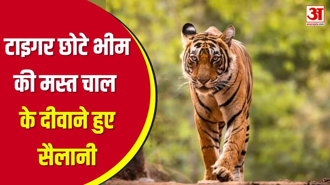 छोटा भीम