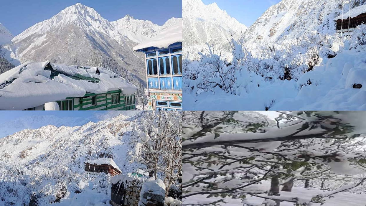 Himachal Weather update: Fresh snowfall in Lahaul-Kinnaur, danger looms over apple crop