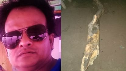 Damoh News: बाइक से जा रहे पिता और बेटी पर गिरी पेड़ की डाल, एक की मौत दूसरे की हालत गंभीर Damoh News Tree branch fell on father and daughter going by bike