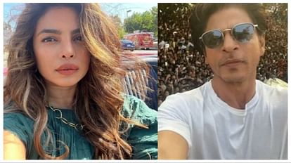 Priyanka Chopra: हॉलीवुड में काम करने पर शाहरुख के कमेंट पर प्रियंका का पलटवार, कहा- कंफर्ट जोन से बाहर आए Priyanka Chopra Comment On shahrukh Khan statement Working in Hollywood said Comfortable is boring