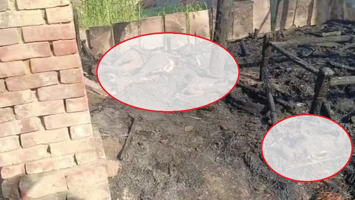 Bhadohi Fire: Sparks emanated from the firecrackers of Baraat, 35 goats burnt to painful death