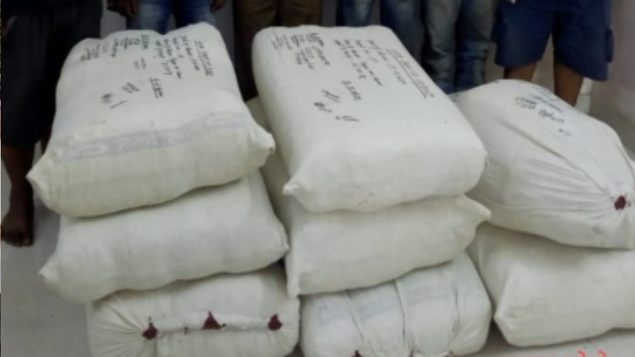 Shahdol News: Two accused arrested for smuggling hashish worth lakhs, 60 kg of drugs and two cars seized