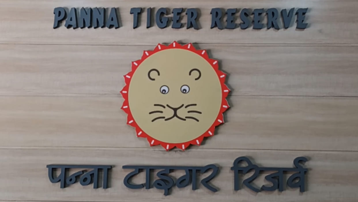 Seoni: Dead cub found in Karmijhiri area of Pench Tiger Reserve, fear of death in big tiger attack