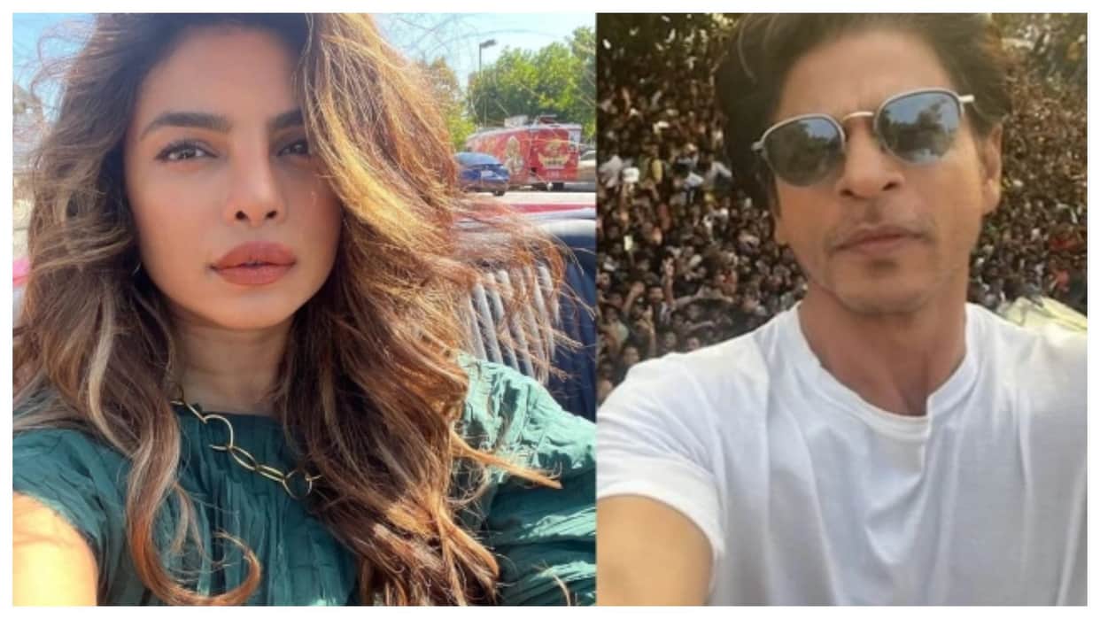 Priyanka Chopra Comment On shahrukh Khan statement Working in Hollywood said Comfortable is boring