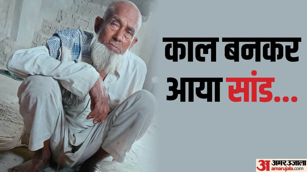 in moradabad bull rammed old man sleeping in the cattle shed died in the accident