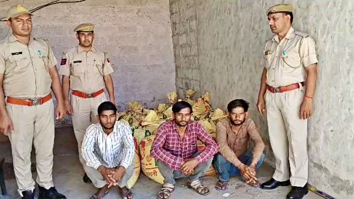Sikar Three people of the gang who stole cooked grains from the fields arrested