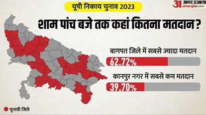 UP Nikay Chunav 2023: District Wise Voting Percentage In State And Previous Trends in 2nd phase polls