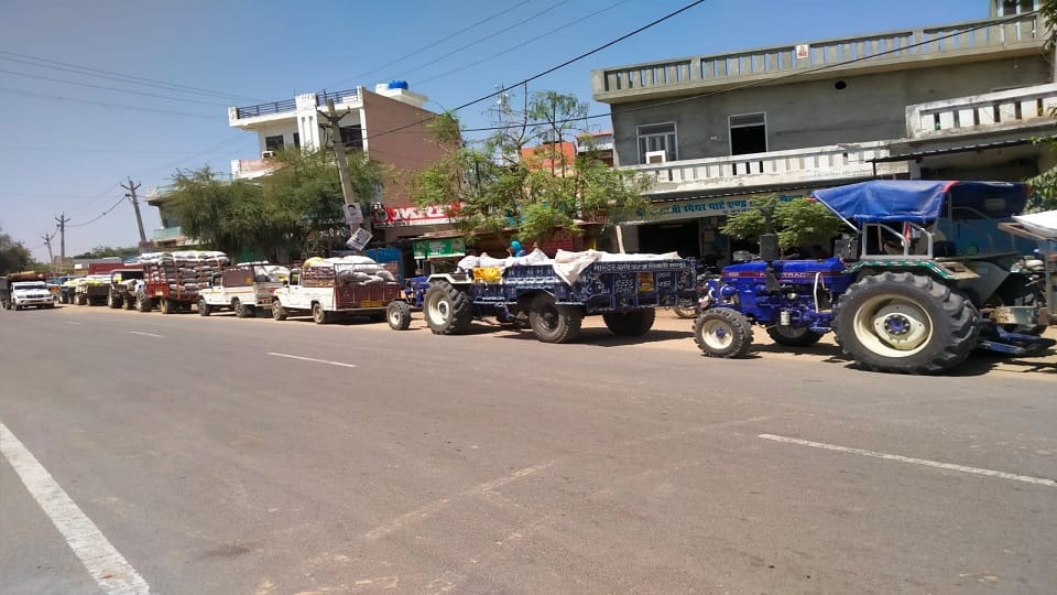 Mustard procurement started again in Bhiwani, two kilometer line of tractors in Mandi