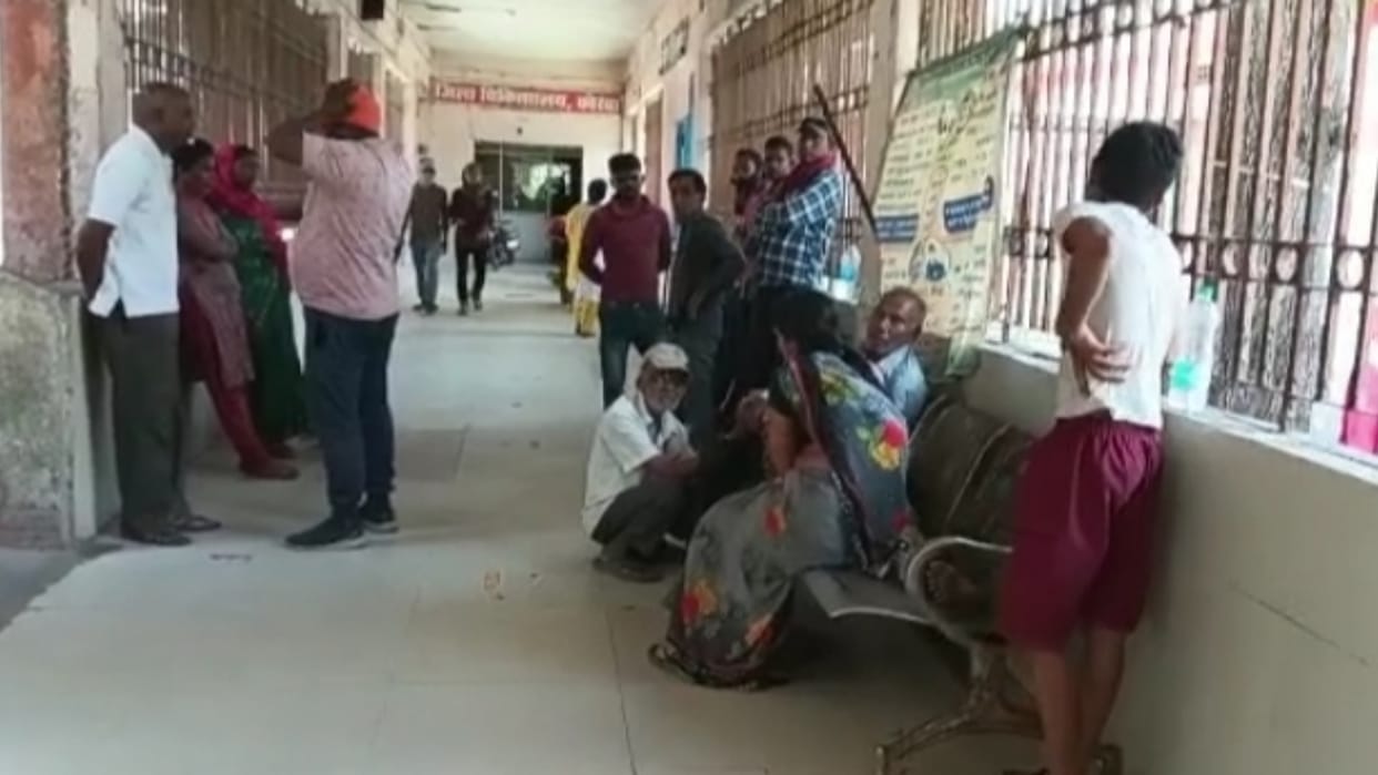 Laborer killed six injured in bee attack in Korba