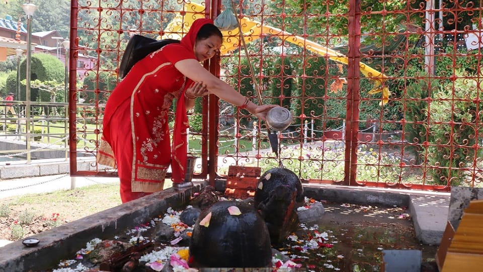 Jammu and Kashmir: Kashmiri Pandit community takes blessings of Jyeshtha Mata on birth anniversary