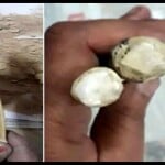 झाड़ू में भरकर भेजी गई हेरोइन।
