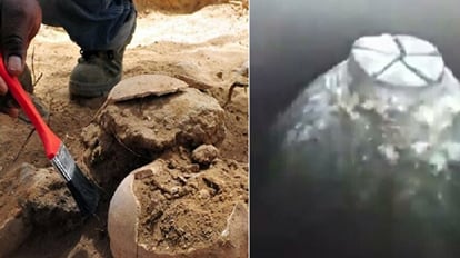 Gyanvapi Carbon Dating: जानें क्या है कार्बन डेटिंग, ज्ञानवापी मामले में क्यों होगा इसका इस्तेमाल, जानें सबकुछ Gyanvapi Case What Is Carbon Dating Gyanvapi Mousque Case Shivling Controversy