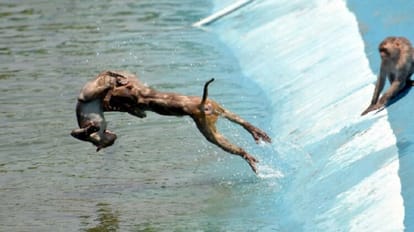 Heat started rising in Jammu and Kashmir, relief expected in some parts today