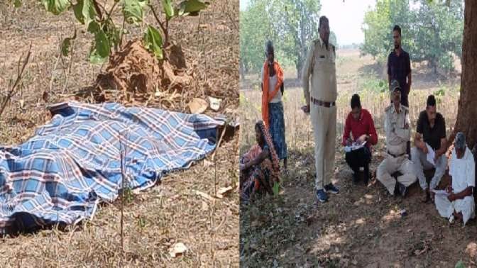 Elephant killed young man in Sarga of Surguja