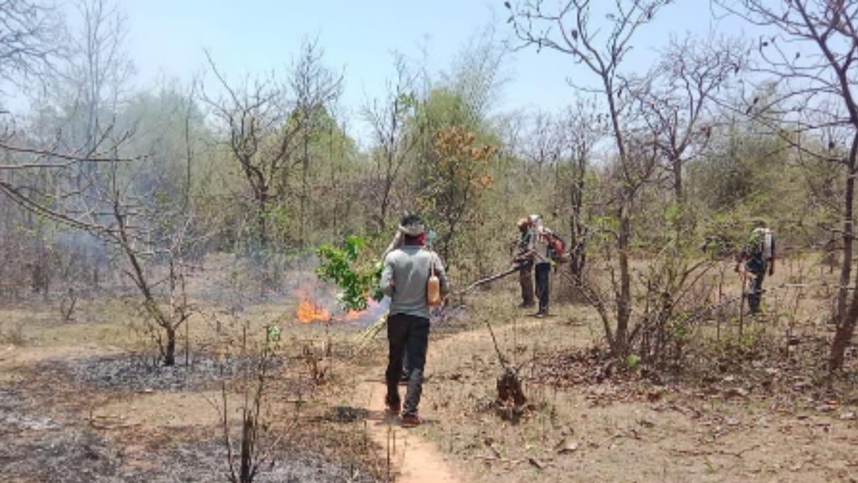 Fierce fire broke out in Pataur range core area of Bandhavgarh Tiger Reserve, forest burning in flames