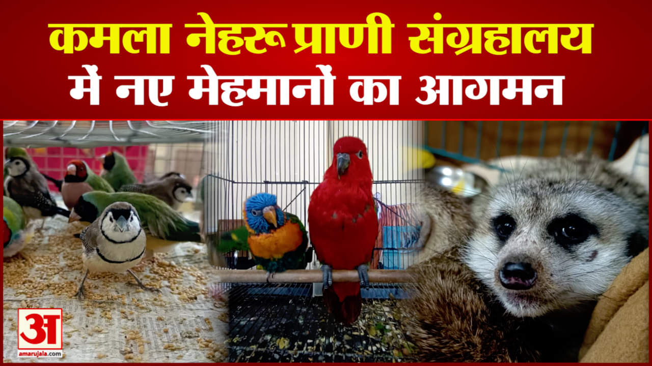 कमला नेहरू प्राणी संग्रहालय, इंदौर