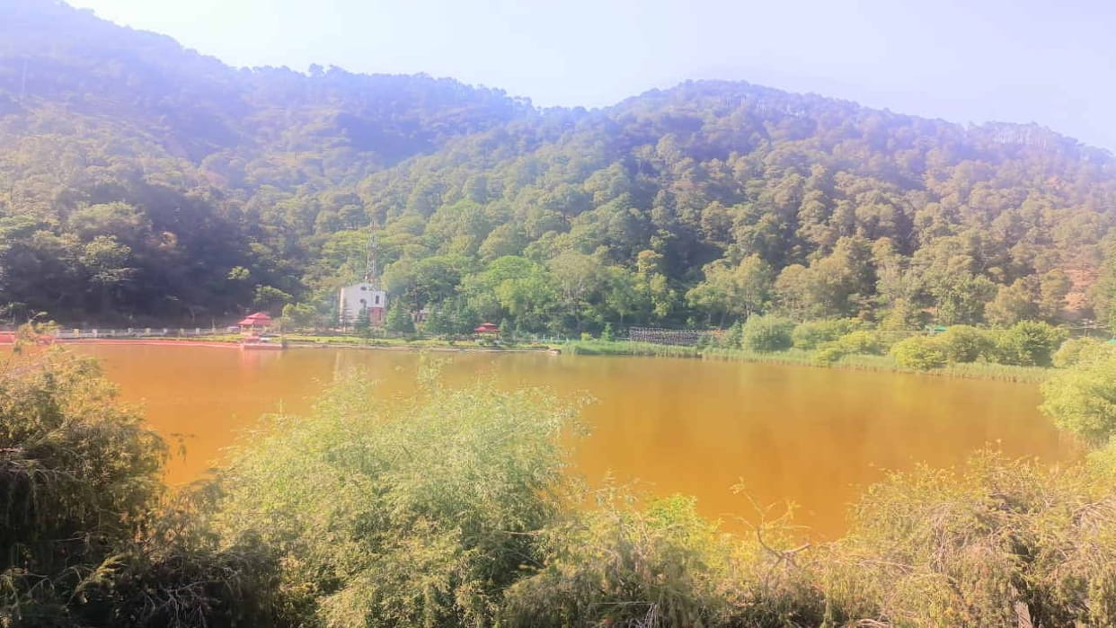 The color of the water of the world famous Rewalsar lake has changed, more brown