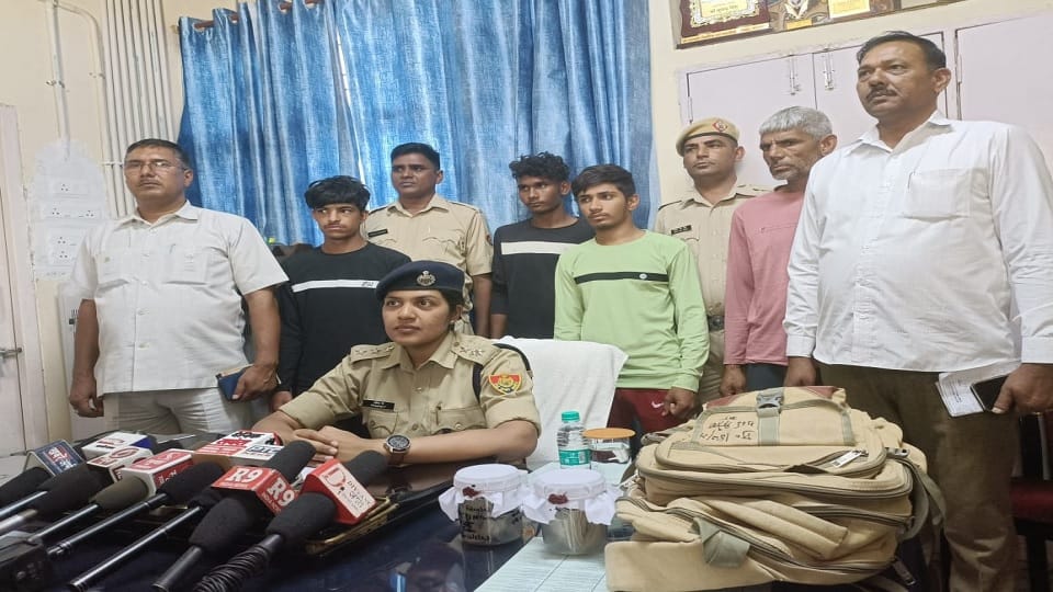 Case of snatching bag from Ujjivan Small Finance employee of Narnaul, police arrested five accused