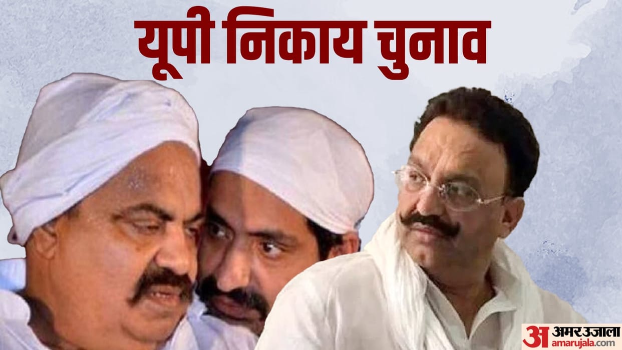 Up Nikay Chunav result 2023 Atiq Ahmed Mukhtar Ansari and Brij Bhushan Sharan Singh Cities Winning Seats
