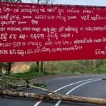 सड़क अवरुद्ध करने के लिए काटे गए पेड़।