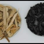 Prayagraj News :  wood biocher