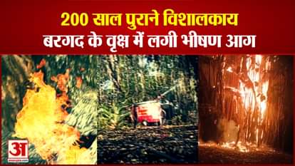200 years old giant banyan tree caught fire in Sagar, found under control after many hours of effort