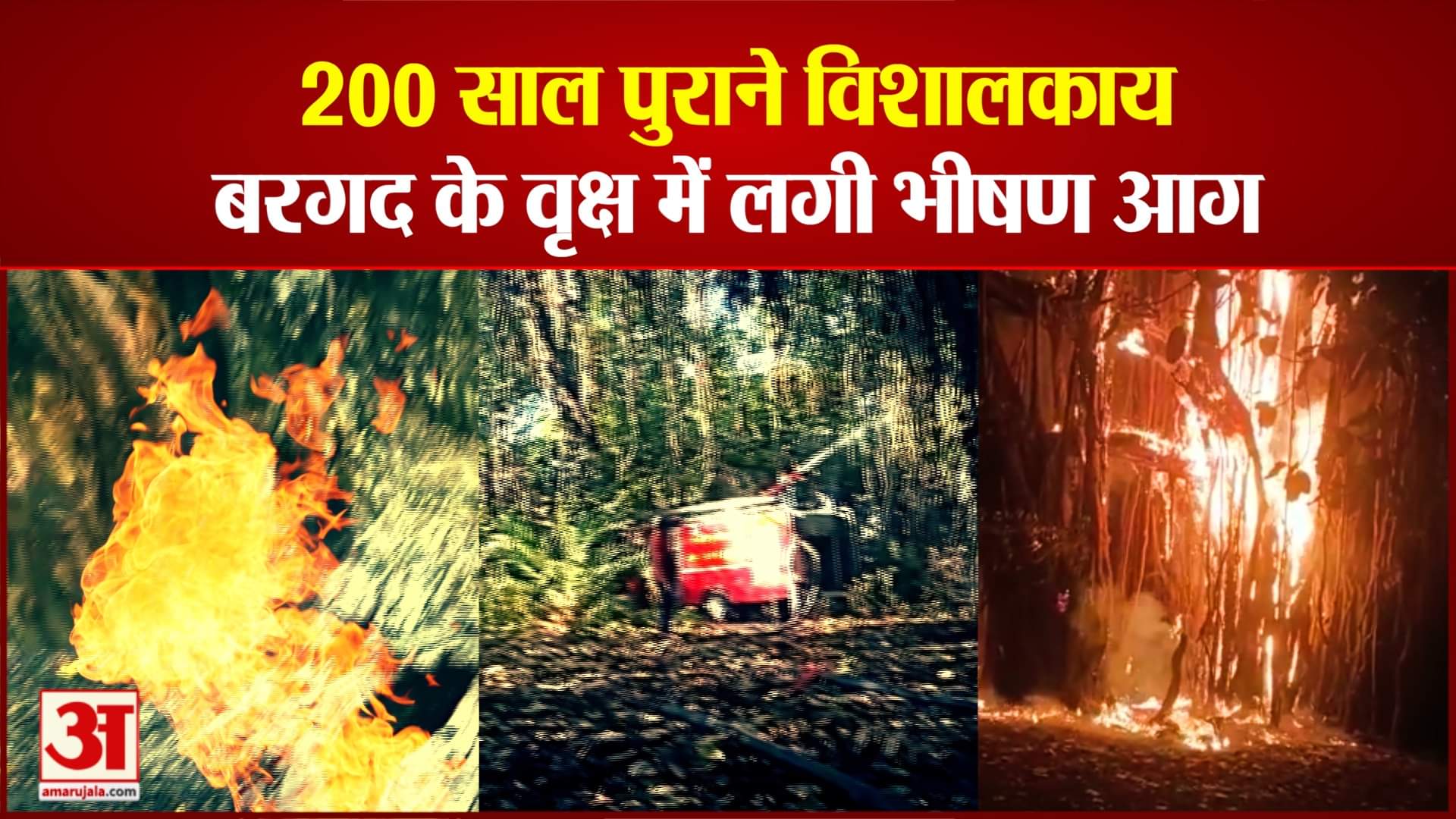 200 साल पुराने बरगद वृक्ष में आग