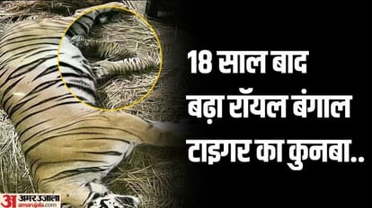 दिल्ली के चिड़ियाघर में आई बाहर: बाघिन सिद्धि ने दिया दो शावकों को जन्म, गर्मी में रखा जा रहा खास ख्याल Tigress Siddhi gave birth to two cubs in Delhi Zoo