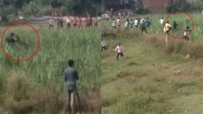 Leopard attacked two villagers in Pilibhit