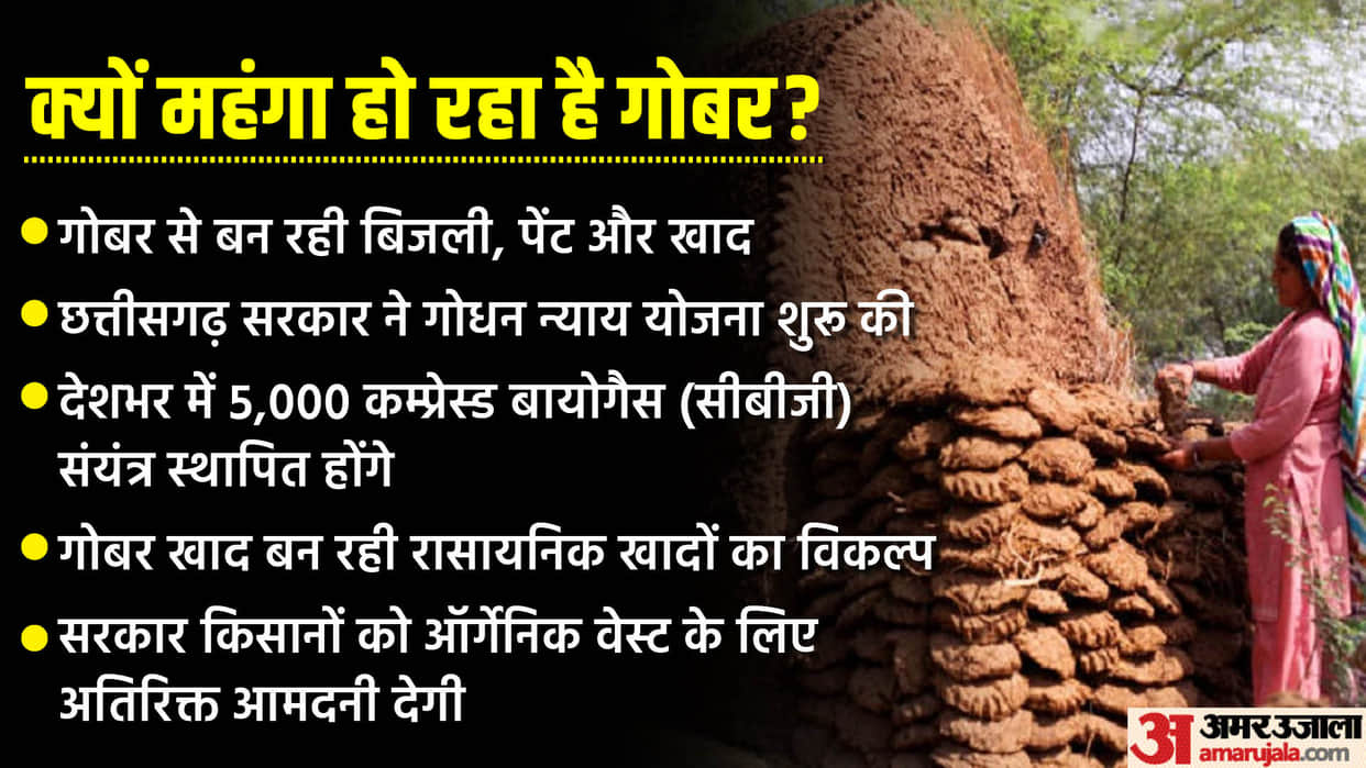 Dung Price: price of cow dung is increasing rapidly, government formula will give the benefit to the farmers