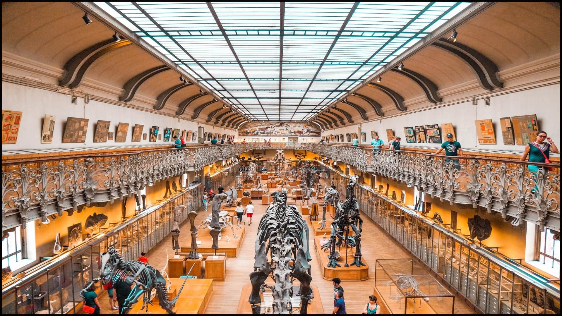International Museum Day 2023 History When and Why it is Celebrated Know Interesting Facts in Hindi