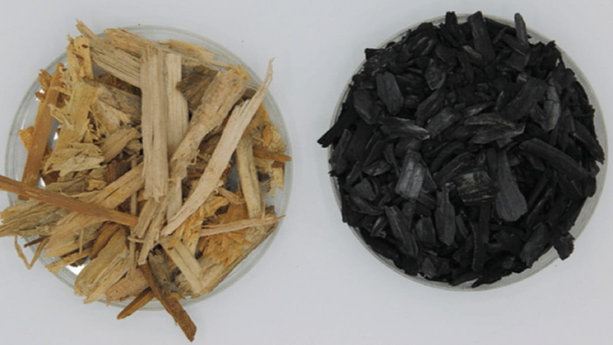 Biochar prepared from wood will save from lung cancer, scientists of Allahabad University claim in research
