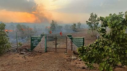 Fierce fire broke out in 500 acres of forest in Damoh, hundreds of trees and plants burnt