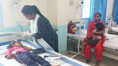 Bihar News: बिहटा-सरमेरा रोड पर स्कूली वैन और बाइक की जबरदस्त टक्कर; 12 बच्चों समेत 14 घायल अस्पताल में Fierce collision between school van and bike on Bihta-Sarmera road in Nalanda; 14 injured