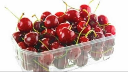Himachal Cherry: पहली बार 2,000 रुपये बॉक्स के रेट पर बिकी हिमाचल की चेरी Himachal's cherry sold for the first time at Rs 2,000 a box