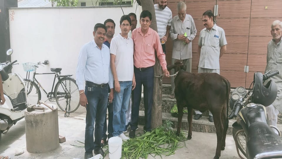 Unique demonstration: expressed anger by tying cattle outside the BJP councillor house in Panipat