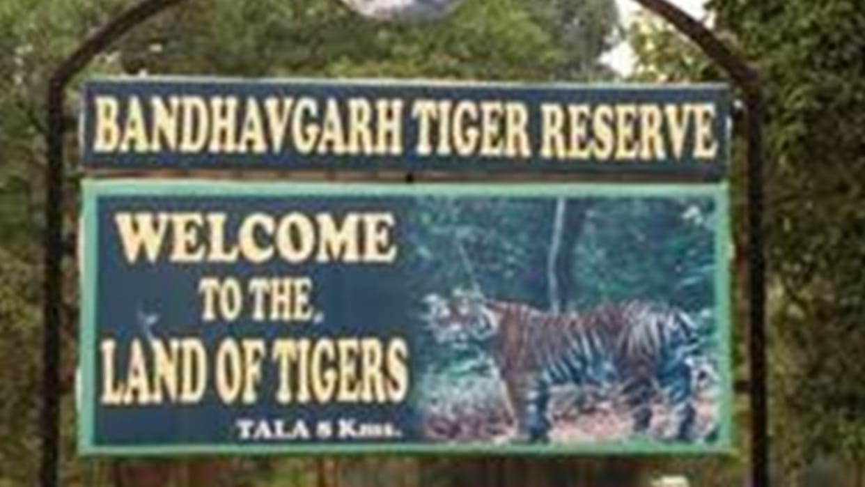 Fire caused havoc in Manpur, Patour, Khitauli, Dhamokhar buffer zone of Bandhavgarh Tiger Reserve
