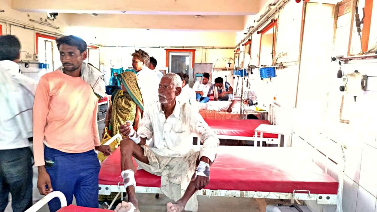 Crocodile dragged old man into Chambal river in Dhaulpur