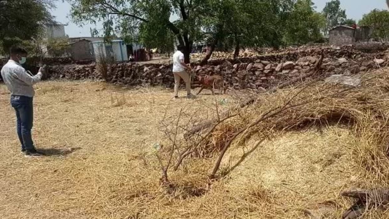 Old man sleeping at home in Baran was beaten to death with sticks