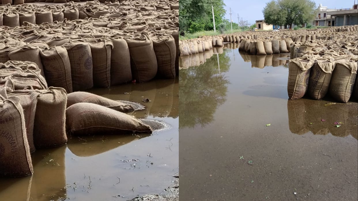 Haryana Weather: A new Western Disturbance become active, possibility of thunderstorm and rain