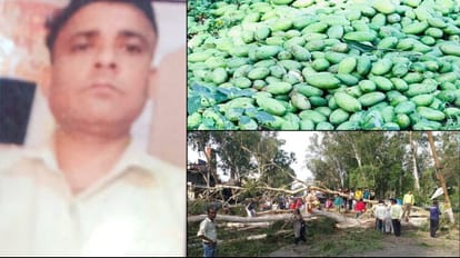 Saharanpur: Heavy damage to mango crop due to storm, power supply stalled, youth dies after hit by tin
