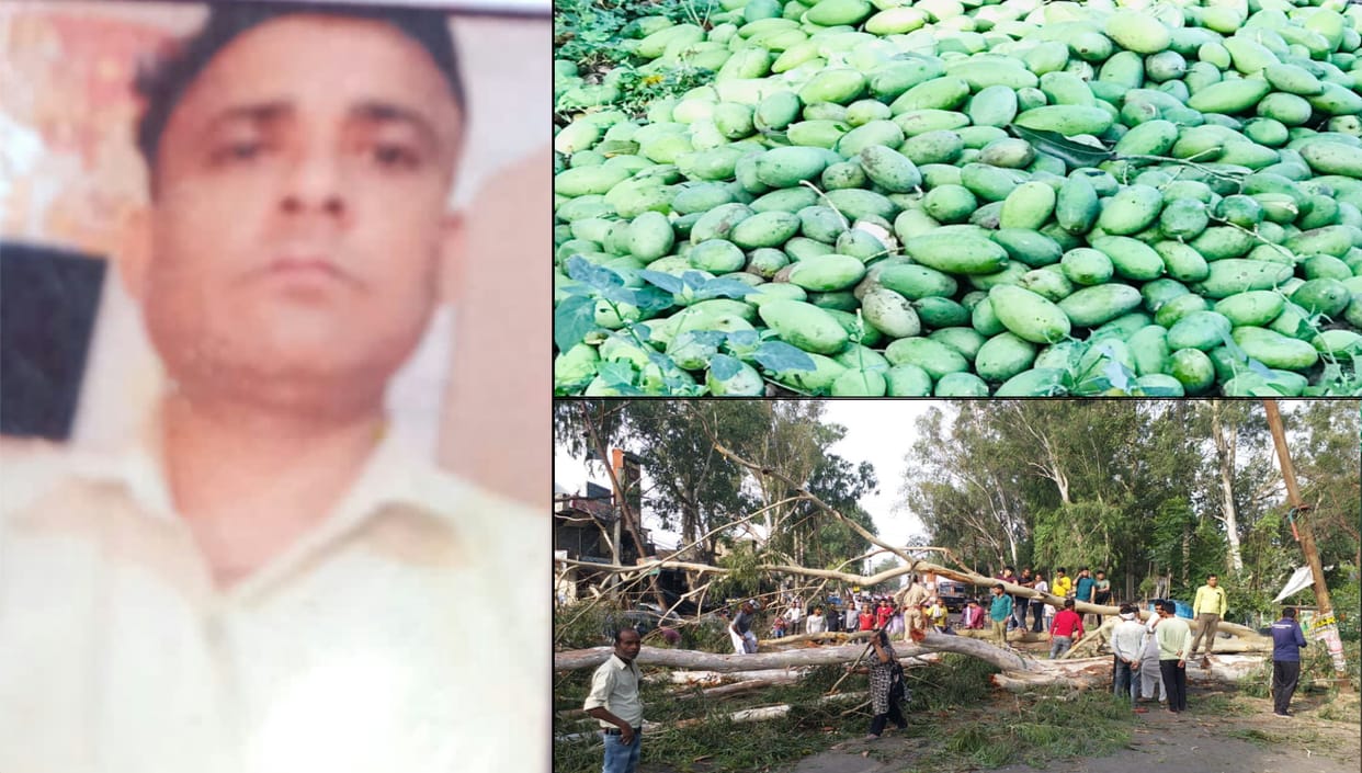 Saharanpur: Heavy damage to mango crop due to storm, power supply stalled, youth dies after hit by tin